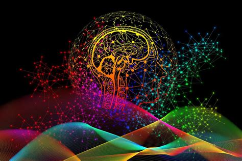 Unlocking The Brains Secrets Where Does Conscious Experience Truly