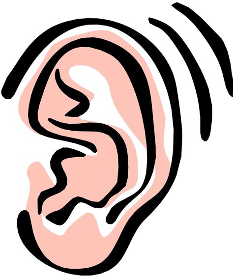 Ear Free Content Clip Art Ear Noise Cliparts Png Download 9541137