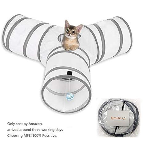 Librivox is a hope, an experiment, and a question: El mejor túnel para gatos - Juguetes para gatos 🐈