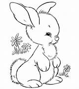 Coloring Animal Cute Rabbit Pages Colouring Template Templates Little Printable Print Drawing Bunny Rabbits sketch template