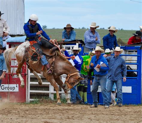 Free Images Man Horse Action Dust Ride Outdoors Competition