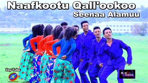 Seenaa Alamuu New Ethiopian Oromoo Music Naafkootu Qallookoo Youtube