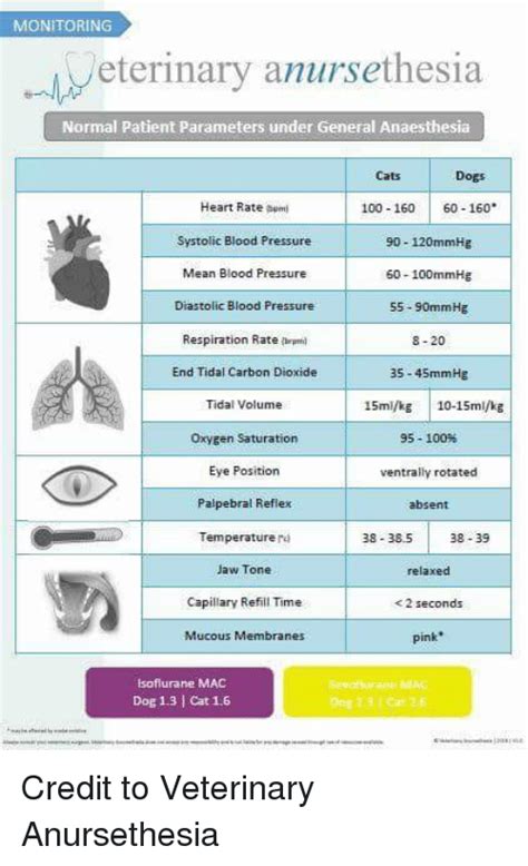 Children have faster respiratory rates than adults, and the normal respiratory rate can vary significantly by age. MONITORING Eterinary Anursethesia Normal Patient ...