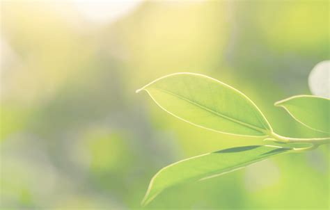 Pepin County Housing Authority Rental Communities | Apartments in