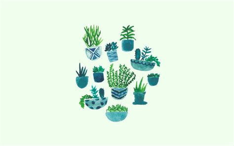 19 Cute Cactus Wallpaper Gurnamakiera