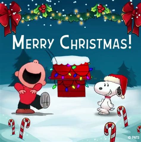 Snoopy Merry Christmas 🎄 Snoopy Christmas Charlie Brown And Snoopy