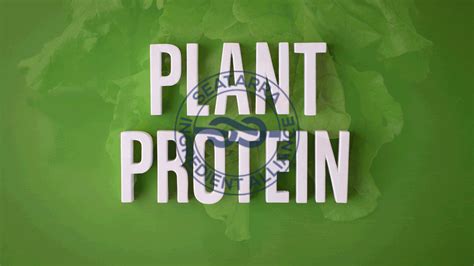 The Power Of Plant Protein How Herbal Powders Enhance Muscle Growth