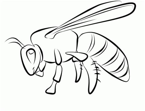 However, it is not precisely at dwelling that they occur within just handy. Bee Coloring Pages - Preschool and KindergartenPreschool ...