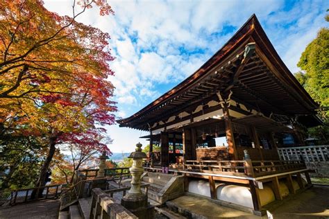 This is why more people have decided to invest in cryptocurrencies. Why Everyone Needs To Visit Kyoto In Their Life