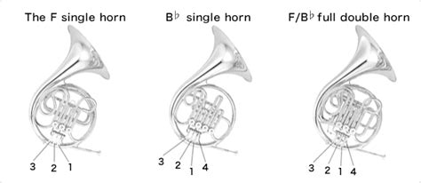 How To Play The Hornfingering Diagrams For The Horn Musical