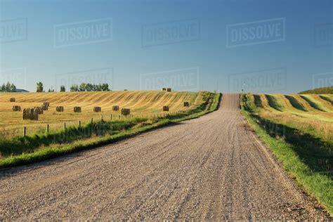 A Gravel Road Between Farm Fields Stock Photo Dissolve