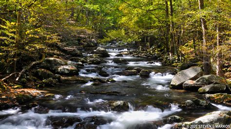 Great Smoky Mountains National Park Big Creek Picnic Area