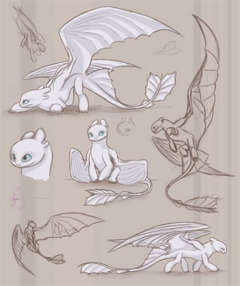 How to draw toothless and light fury by dawn dragoart com. Light Fury Sketch Bunch by Lafaleth | Disegni di uccelli ...