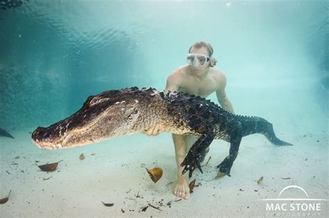 Mac Stone Photography Blog Swimming With Alligators Again