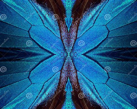 Wings Of A Butterfly Ulysses Wings Of A Butterfly Texture Background