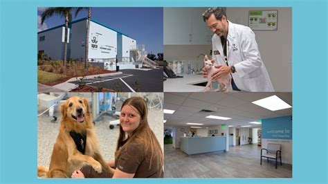 All the adoptable animals come equipped with spay/neuter surgery, microchip identification, rabies vaccination, influenza vaccination, and other vaccinations appropriate to scroll through the slideshow of adorable adoptable animals today, and considering lending a helping hand to the spca's mission SPCA Tampa Bay Veterinary Center Open House, St Petersburg ...