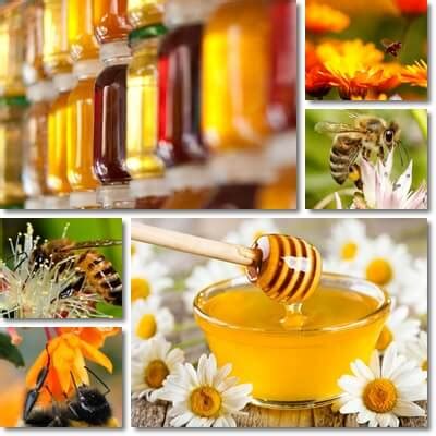 Applied to the skin, honey has been shown to be as effective as conventional hi diana, honey is very healthy and has many antiseptic, antibacterial properties. Properties and Benefits of Monofloral Honey - NatureWord