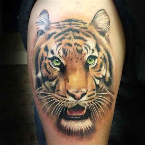 20 Best Tiger Face Tattoo Designs And Ideas PetPress