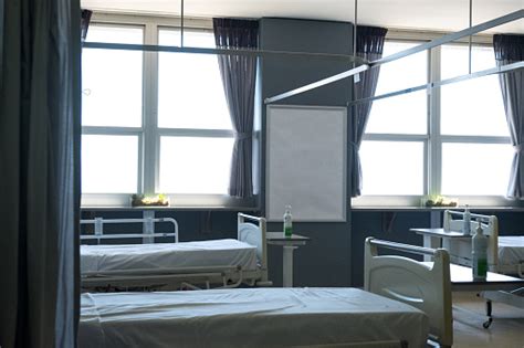 Empty Hospital Ward Stock Photo Download Image Now Absence Bed