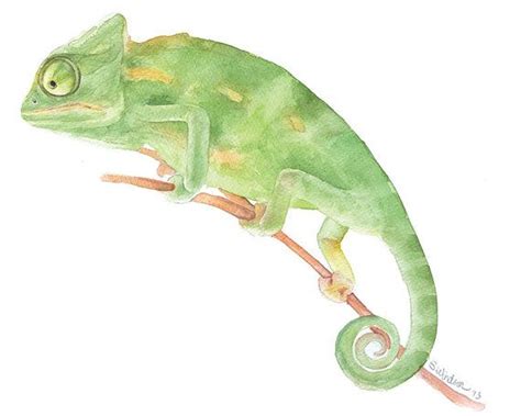 Chameleon Watercolor Painting Giclee Print Fine Art Watercolor Etsy