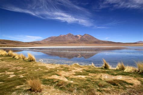 Scenic Lagoon In Bolivia South America Stock Image Image Of