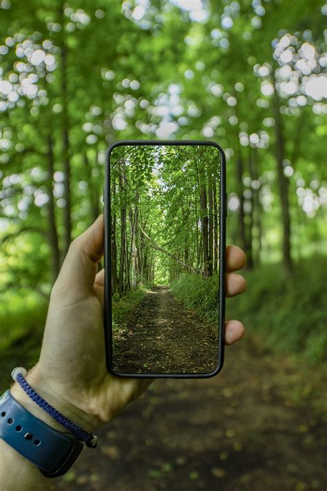 Full Screen Smartphone With Green Trees Hd Phone Wallpaper Peakpx