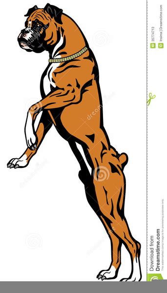 Boxer Dogs Clipart Free Images At Vector Clip Art Online