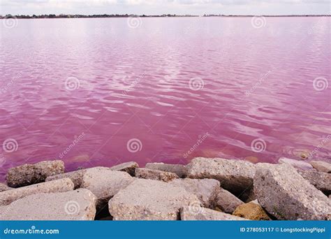Salins Pink Coloured Salt Marshes Stock Image Image Of Vibrant