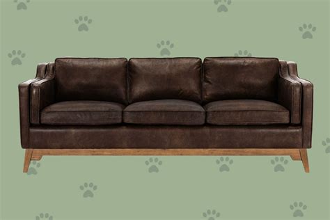 11 Of The Best Pet Friendly Couches And Sofas Daily Paws