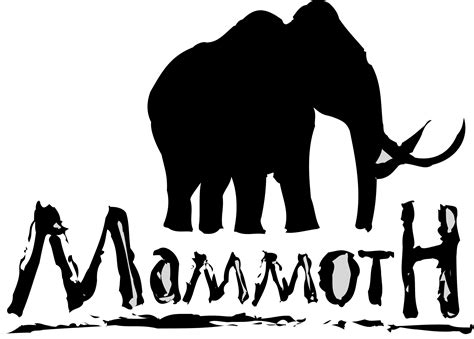 Contact Us Mammoth Audio Visual