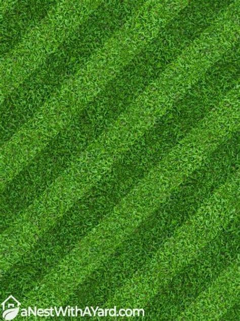 Most Efficient Mowing Pattern For Your Lawn In 2023