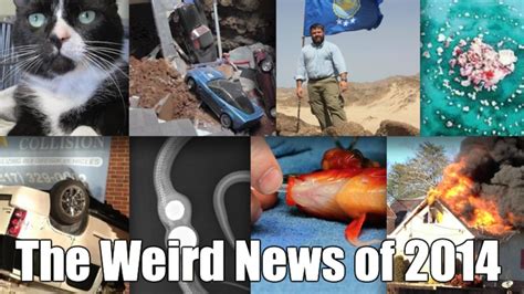 Miss Cellania’s Top 20 Weird News Stories Of 2014 Mental Floss