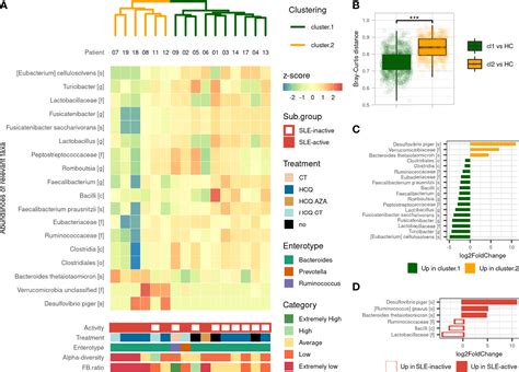 Frontiers Gut Microbiota In Systemic Lupus Erythematosus Patients And