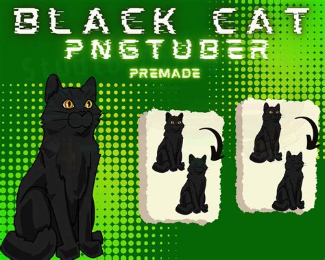 Simple Realistic Black Cat 2d Vtuber Pngtuber Model Lofi Etsy