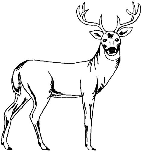 These 3d wood carving patterns and templates are actually 2d printable pictures that can help inspire and guide you on the construction of a more 4. Wildlife Patterns; Wood Burning, Painting, Crafts | Wood ...