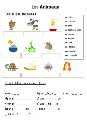 Practice oral communication skills and vocabulary to learn french language. 35 French Worksheet For Beginners - Free Worksheet Spreadsheet