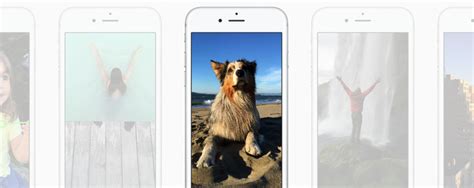 Iphone 6s How To Make Your Own Custom Live Photo