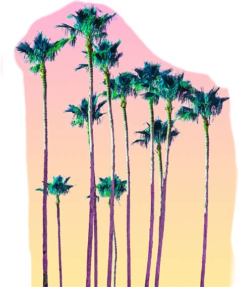 Palmtrees Neon Palm California Sticker By Victorynsurrender