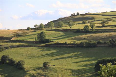 Ales yılda kaç kez yapılır? Paysage du Cantal - Salon Miam Alès 2019 - Site officiel