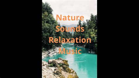 30 Min Nature Sounds Relaxing Music Rain Sounds Bird Sounds Ocean