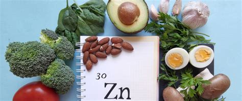 المراجع حبوب اللقاح يوجد العديد من أنواع حبوب اللقاح، تمتلك حبوب اللقاح الصنوبرية شعبية كبيرة بين الرجال الذين يتطلعون إلى زيادة مستويات هرمون التستوستيرون. فوائد حبوب الزنك للطول - كلمات و عبارات