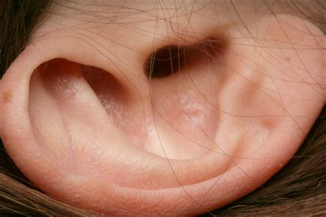 Ear. Causes, symptoms, treatment Ear