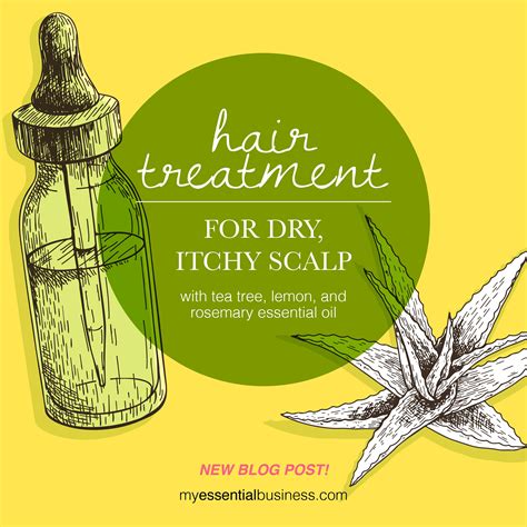 Diy Dry Scalp Treatment Local