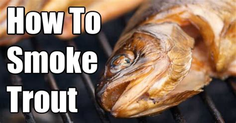 How To Smoke Trout Easy Homemade Brine Kitchen Laughter