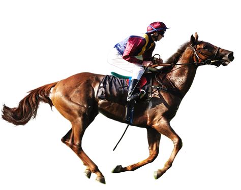 Horse Racing Transparent Background Png Image Sports Web Design Graphic