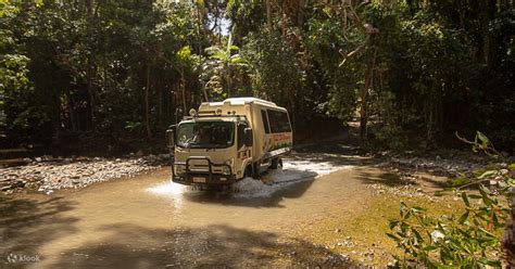 Daintree Rainforest And Cape Tribulation Full Day Tour By Billy Tea