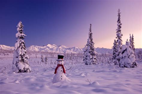 Snowman At Sunset Snow Covered Spruce Trees Winter Chugach Mountains