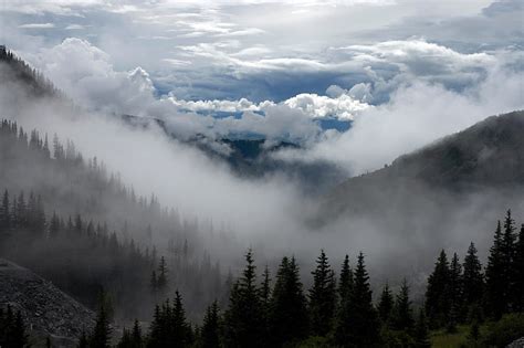 Clouds Fog Landscapes Mountains Pines Trees Hd Wallpaper Pxfuel