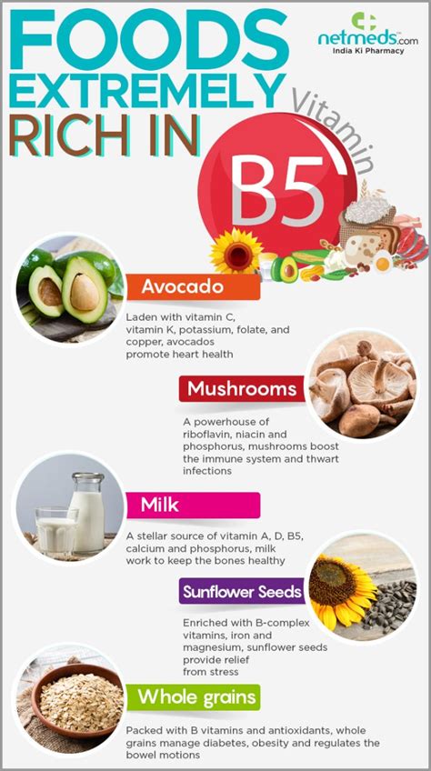 Vitamin B5 Add These 5 Superfoods To Your Diet For Overall Well Being