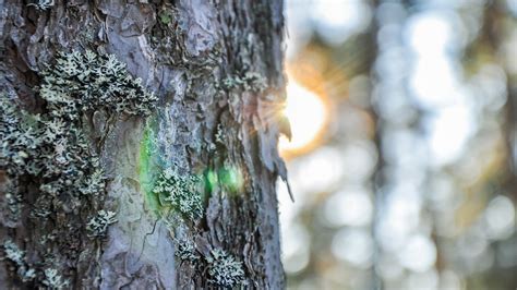 More details financial api aggregation. TietoEVRY Corporation: Managers' transactions - Niko ...